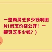 一整颗灵芝多少钱啊图片(灵芝价格公开！一颗灵芝多少钱？)