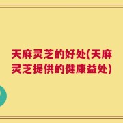 天麻灵芝的好处(天麻灵芝提供的健康益处)