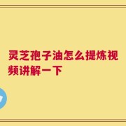 灵芝孢子油怎么提炼视频讲解一下