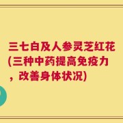三七白及人参灵芝红花(三种中药提高免疫力，改善身体状况)