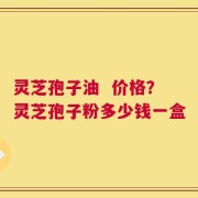 灵芝孢子油  价格？灵芝孢子粉多少钱一盒