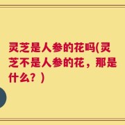 灵芝是人参的花吗(灵芝不是人参的花，那是什么？)