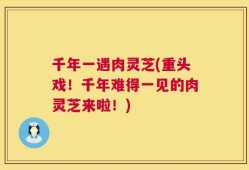 千年一遇肉灵芝(重头戏！千年难得一见的肉灵芝来啦！)
