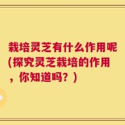 栽培灵芝有什么作用呢(探究灵芝栽培的作用，你知道吗？)