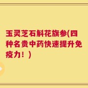 玉灵芝石斛花旗参(四种名贵中药快速提升免疫力！)