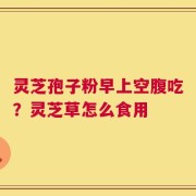灵芝孢子粉早上空腹吃？灵芝草怎么食用