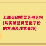 上那买破壁灵芝孢芝粉(购买破壁灵芝孢子粉的方法及注意事项)