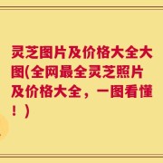 灵芝图片及价格大全大图(全网最全灵芝照片及价格大全，一图看懂！)