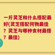 一斤灵芝和什么搭配最好(灵芝搭配何物最佳？灵芝与哪种食材最搭？最佳)