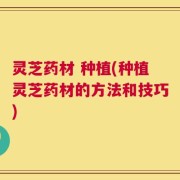 灵芝药材 种植(种植灵芝药材的方法和技巧)