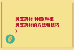 灵芝药材 种植(种植灵芝药材的方法和技巧)