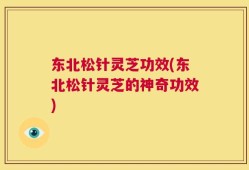 东北松针灵芝功效(东北松针灵芝的神奇功效)