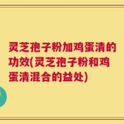 灵芝孢子粉加鸡蛋清的功效(灵芝孢子粉和鸡蛋清混合的益处)