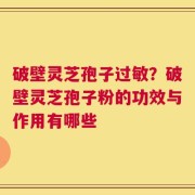 破壁灵芝孢子过敏？破壁灵芝孢子粉的功效与作用有哪些