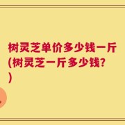 树灵芝单价多少钱一斤(树灵芝一斤多少钱？)