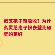 灵芝孢子难吸收？为什么灵芝孢子粉去壁比破壁的更好