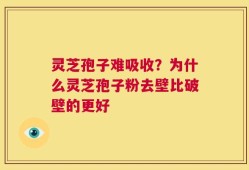 灵芝孢子难吸收？为什么灵芝孢子粉去壁比破壁的更好
