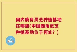 国内鹿角灵芝种植基地在哪里(中国鹿角灵芝种植基地位于何处？)