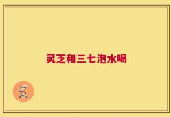 灵芝和三七泡水喝