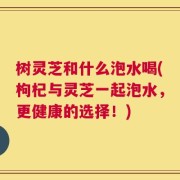树灵芝和什么泡水喝(枸杞与灵芝一起泡水，更健康的选择！)