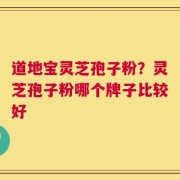 道地宝灵芝孢子粉？灵芝孢子粉哪个牌子比较好