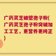广药灵芝破壁孢子粉(广药灵芝孢子粉突破加工工艺，更营养更纯正)