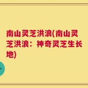 南山灵芝洪浪(南山灵芝洪浪：神奇灵芝生长地)