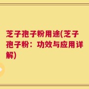 芝子孢子粉用途(芝子孢子粉：功效与应用详解)
