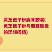 灵芝孢子粉鹿茸胶囊(灵芝孢子粉与鹿茸胶囊的理想搭档)