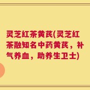 灵芝红茶黄芪(灵芝红茶融知名中药黄芪，补气养血，助养生卫士)