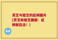 灵芝与翅芝的区别图片(灵芝和翅芝图解：区别就在这！)