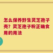 怎么保养野生灵芝孢子壳？灵芝孢子粉正确食用的用法