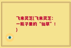 飞来灵芝(飞来灵芝：一瓶子里的“仙草”！)