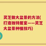 灵芝做大盆景的方法(打造独特居室——灵芝大盆景种植技巧)