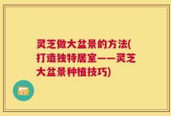 灵芝做大盆景的方法(打造独特居室——灵芝大盆景种植技巧)