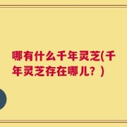哪有什么千年灵芝(千年灵芝存在哪儿？)