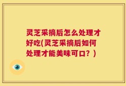 灵芝采摘后怎么处理才好吃(灵芝采摘后如何处理才能美味可口？)
