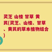 灵芝 山楂 甘草 黄芪(灵芝、山楂、甘草、黄芪的草本植物组合)