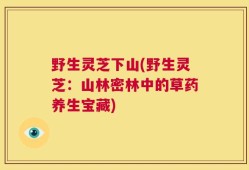 野生灵芝下山(野生灵芝：山林密林中的草药养生宝藏)