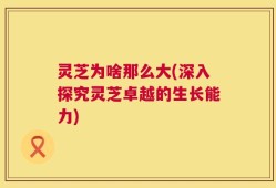 灵芝为啥那么大(深入探究灵芝卓越的生长能力)
