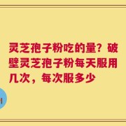 灵芝孢子粉吃的量？破壁灵芝孢子粉每天服用几次，每次服多少