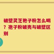 破壁灵芝袍子粉怎么喝？孢子粉破壳与破壁区别