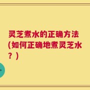 灵芝煮水的正确方法 (如何正确地煮灵芝水？)