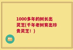 1000多年的树长出灵芝(千年老树育出珍贵灵芝！)