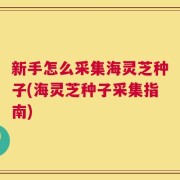 新手怎么采集海灵芝种子(海灵芝种子采集指南)