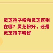 灵芝孢子粉和灵芝区别在哪？灵芝粉好，还是灵芝孢子粉好