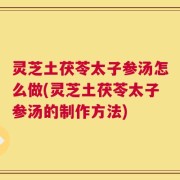 灵芝土茯苓太子参汤怎么做(灵芝土茯苓太子参汤的制作方法)