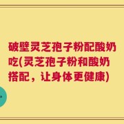 破壁灵芝孢子粉配酸奶吃(灵芝孢子粉和酸奶搭配，让身体更健康)
