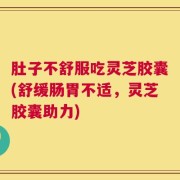 肚子不舒服吃灵芝胶囊(舒缓肠胃不适，灵芝胶囊助力)
