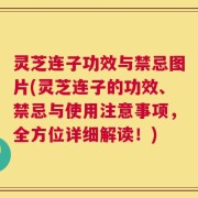 灵芝连子功效与禁忌图片(灵芝连子的功效、禁忌与使用注意事项，全方位详细解读！)